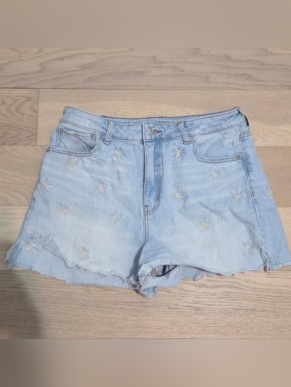 American Eagle Embroidered Shorts